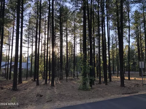 2504 Timber Ridge Ln #1, Pinetop, AZ 85935