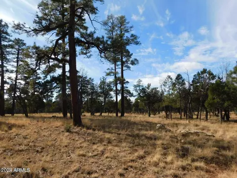 4560 Durango Dr #369370, Happy Jack, AZ 86024