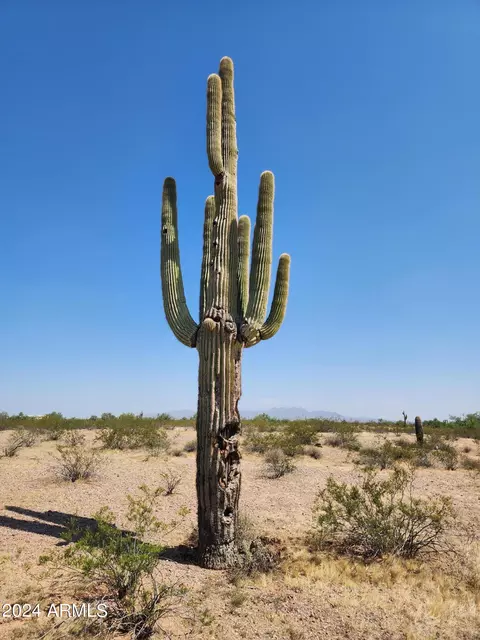 000 W Dove Valley Rd #132, Wittmann, AZ 85361