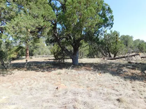 3054 Pinewood Dr #95, Overgaard, AZ 85933