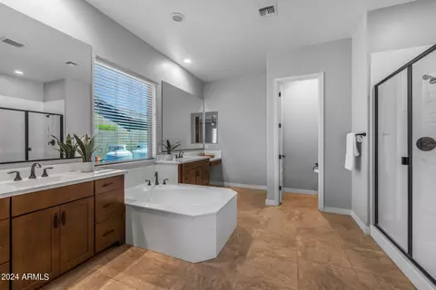 Bath - 10454 E Vivid Ave, Mesa, AZ 85212 photo 1 of 5