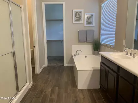Bath - 3032 E Sagebrush St, Gilbert, AZ 85296 photo 2 of 4