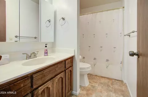 Bath - 1385 S Monterey Dr, Globe, AZ 85501 photo 1 of 5