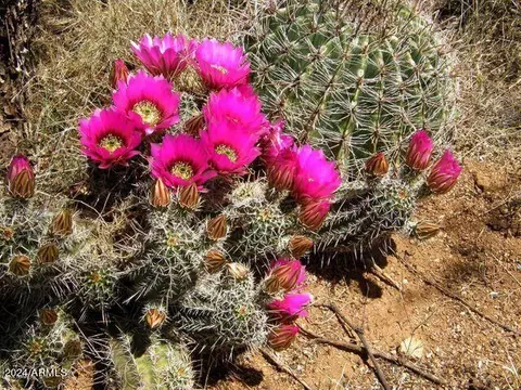 LOT 42 E De Vaca Circle #42, Saint David, AZ 85630 photo 17