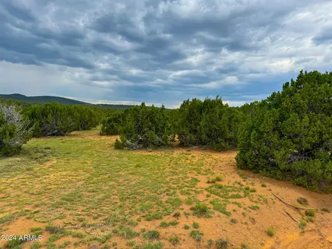 22 County Rd 3048 -- #467, Vernon, AZ 85940