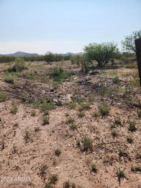 lot E C E Gila Dr #C, Douglas, AZ 85607 photo 23
