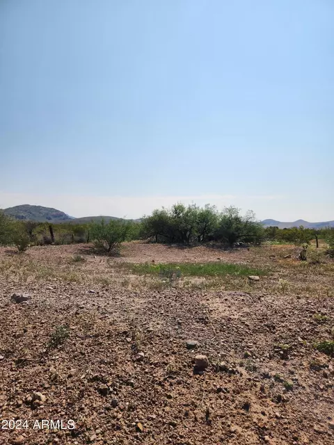 lot E C E Gila Dr #C, Douglas, AZ 85607 photo 21