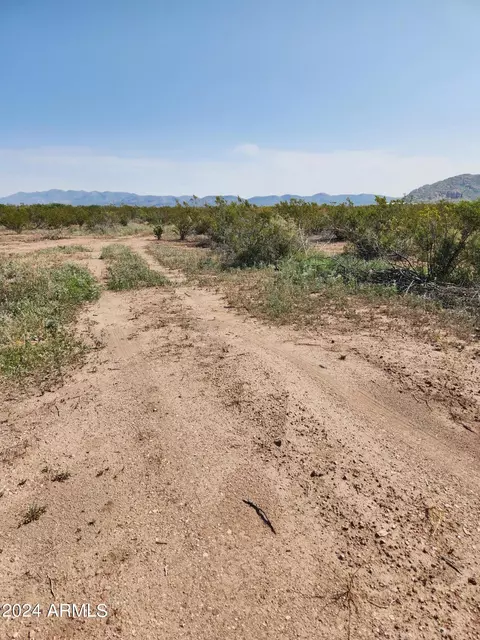 lot E C E Gila Dr #C, Douglas, AZ 85607 photo 28
