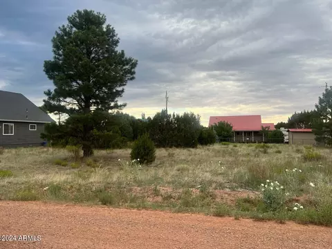2222 Sitgreaves Dr #270, Overgaard, AZ 85933