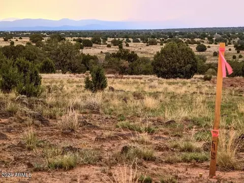 1111 Mile High Rd #-, Ash Fork, AZ 86320 photo 5