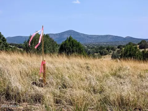 1111 Mile High Rd #-, Ash Fork, AZ 86320 photo 12