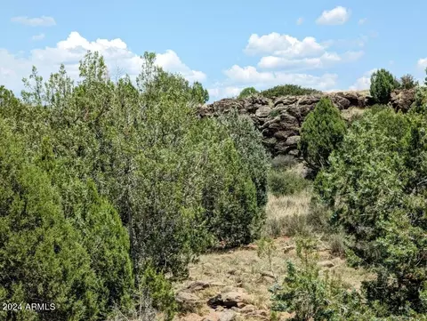 1111 Mile High Rd #-, Ash Fork, AZ 86320 photo 17
