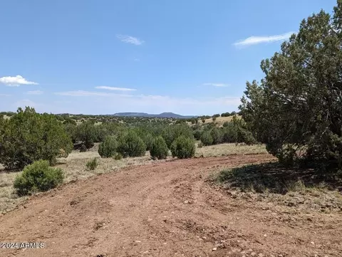 1111 Mile High Rd #-, Ash Fork, AZ 86320 photo 15