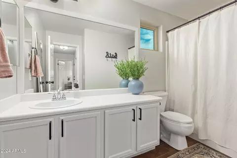 Bath - 1111 N 93rd Pl, Mesa, AZ 85207 photo 9 of 9