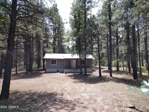 5307 F S 219 -- #FS, Pinedale, AZ 85934