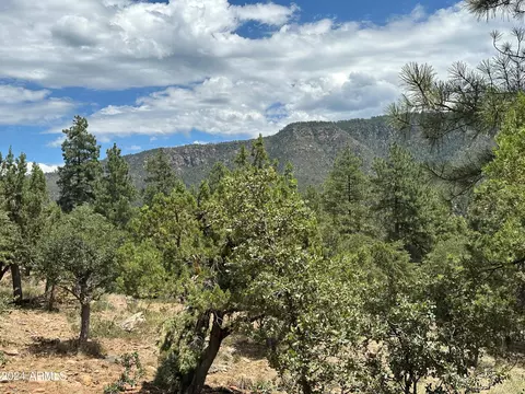 35 Canyon Vis #35, Pine, AZ 85544 photo 6