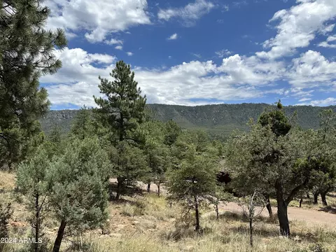 35 Canyon Vis #35, Pine, AZ 85544 photo 5