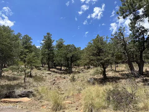 35 Canyon Vis #35, Pine, AZ 85544 photo 2