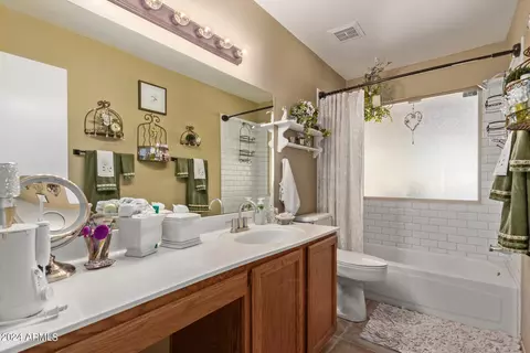 4804 E Princess Dr, Mesa, AZ 85205 photo 22