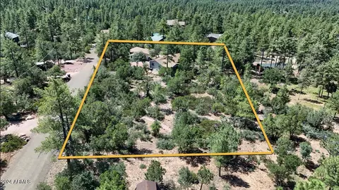 5442 W Forest Trl, Pine, AZ 85544 photo 4
