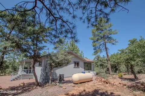 5442 W Forest Trl, Pine, AZ 85544 photo 37