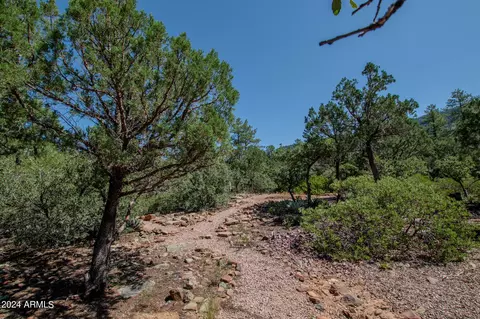 5442 W Forest Trl, Pine, AZ 85544 photo 35