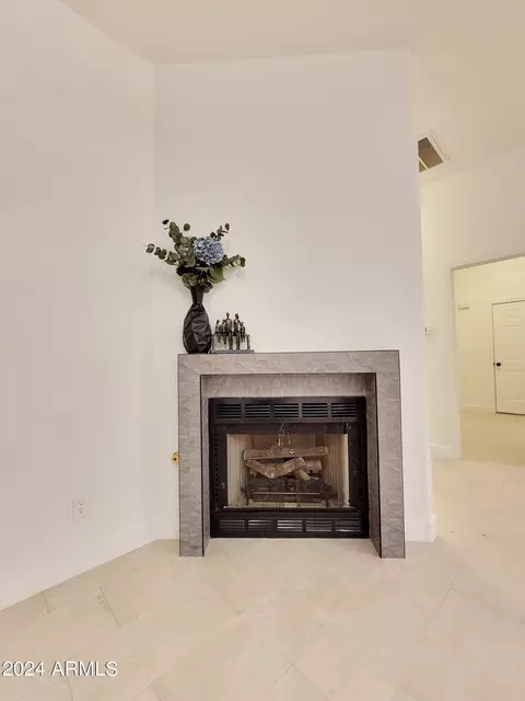 Other - 9803 E Butte St, Mesa, AZ 85207 photo 17 of 21