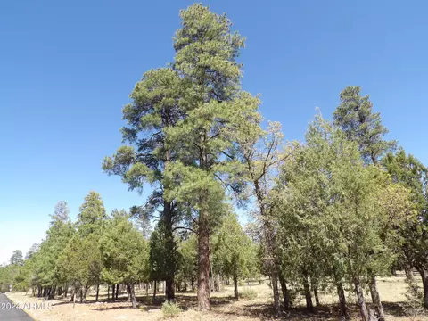 4674 Stargazer Dr #163, Happy Jack, AZ 86024