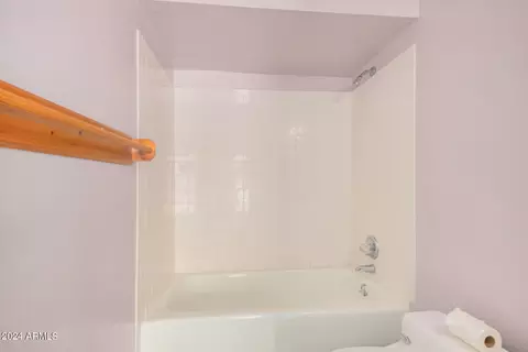 Bath - 5365 E Sagebrush St, Apache Junction, AZ 85119 photo 5 of 10