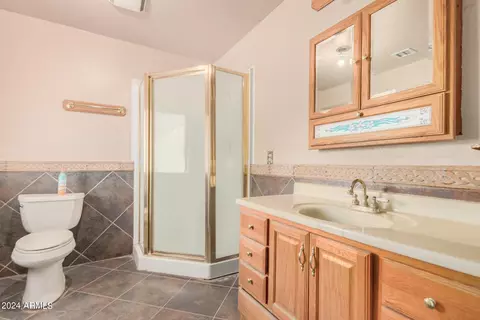 Bath - 5365 E Sagebrush St, Apache Junction, AZ 85119 photo 7 of 10