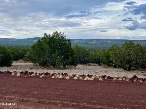1184 W Picacho Dr #-, Ash Fork, AZ 86320 photo 6