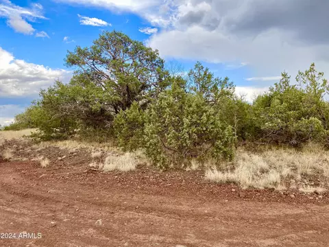 1184 W Picacho Dr #-, Ash Fork, AZ 86320 photo 13