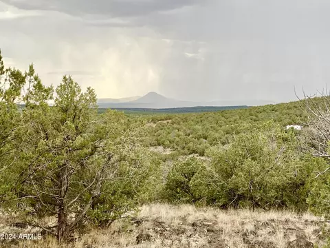1184 W Picacho Dr #-, Ash Fork, AZ 86320 photo 15