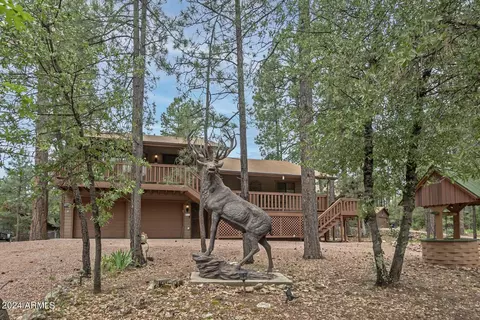 6401 W Marcy Way, Pine, AZ 85544