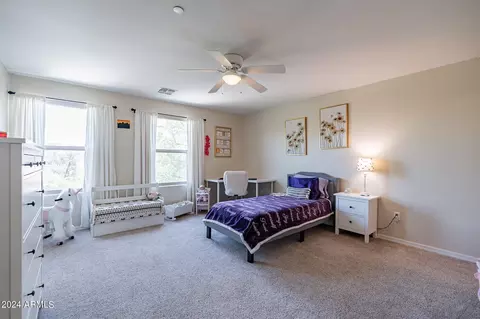 10798 E Deep Sky Dr, Tucson, AZ 85747 photo 41