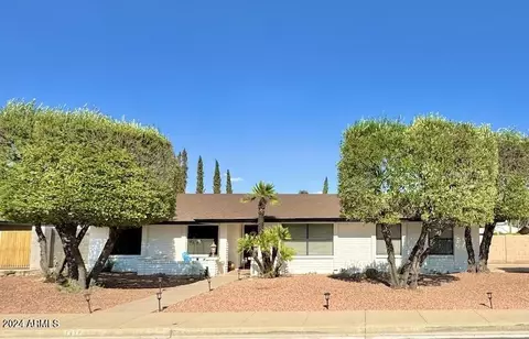 1439 E Gary St, Mesa, AZ 85203