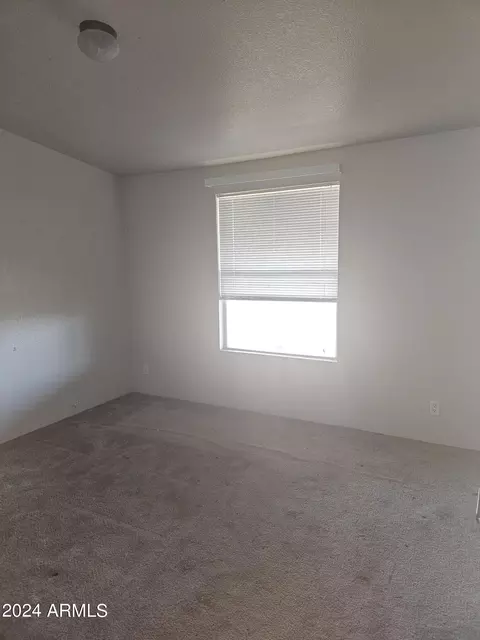 4471 E Highway 80 --, Douglas, AZ 85607 photo 16