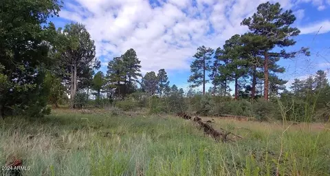 5139 State Route 260 -- #-, Clay Springs, AZ 85923