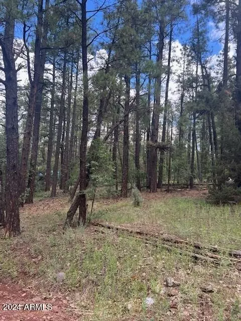 118 E Bonanza Rd #59, Pinetop, AZ 85935