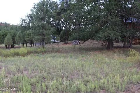 5523 Turkey Run #188, Pinedale, AZ 85934