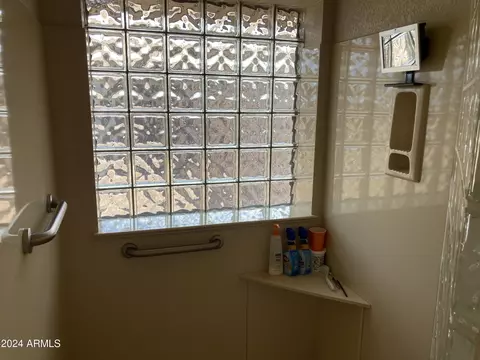11317 E Meseto Cir, Mesa, AZ 85209 photo 20