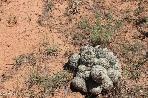 9774 E Coyote Trl, Hereford, AZ 85615 photo 44