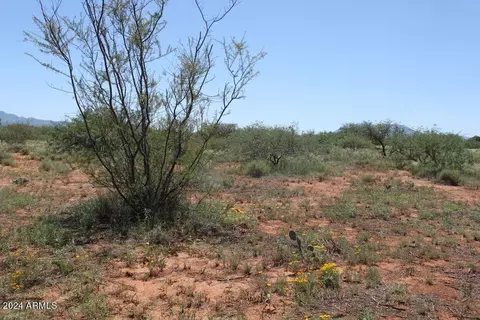 9774 E Coyote Trl, Hereford, AZ 85615 photo 43
