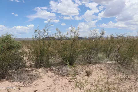lot29 W B W Globo Ln #29B, Douglas, AZ 85607