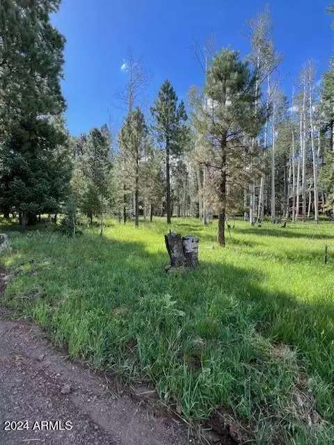 7105 W Freedline Dr #35, Flagstaff, AZ 86001
