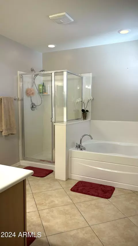 11162 E Stearn Ave, Mesa, AZ 85212 photo 10