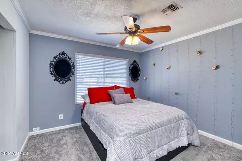 905 E Halifax St, Mesa, AZ 85203 photo 10