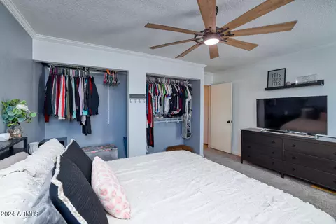 905 E Halifax St, Mesa, AZ 85203 photo 8