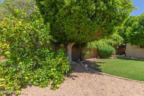 250 E Arabian Dr, Gilbert, AZ 85296 photo 29