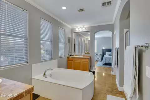 1113 W Laredo Ave, Gilbert, AZ 85233 photo 38